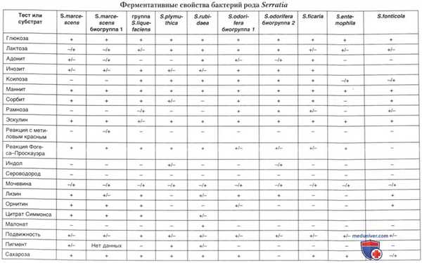 Род условно-патогенных серраций (Serratia)