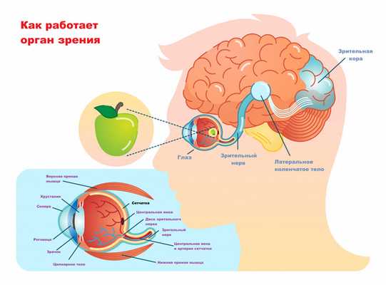 Гемералопия