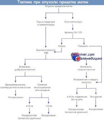 Тактика при опухоли придатка матки