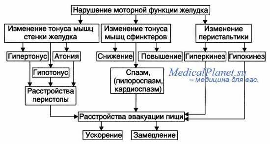 причины тошноты и рвоты