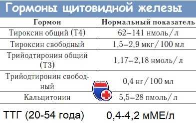 Гормоны щитовидной железы в норме