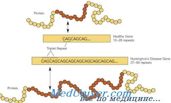 генетика болезни Гентингтона
