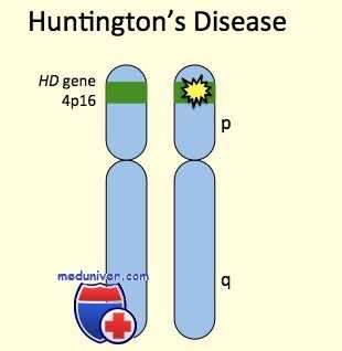 генетика болезни Гентингтона