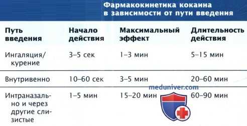 Фармакокинетика кокаина