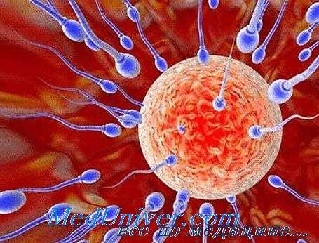 эндокринное бесплодие