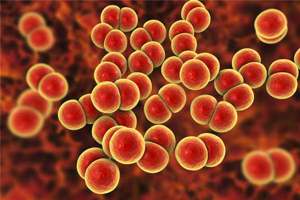 Профилактика после лечения гонореи