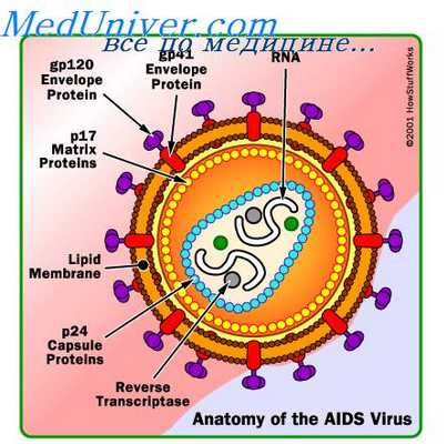 криптококковая инфекция