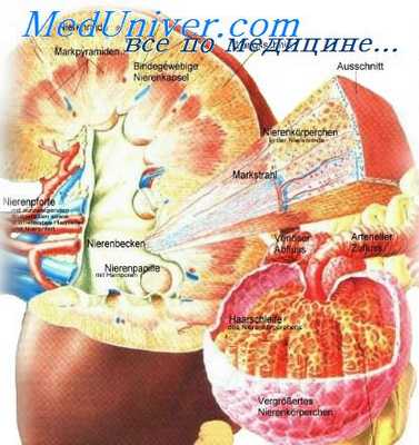 тромбангит