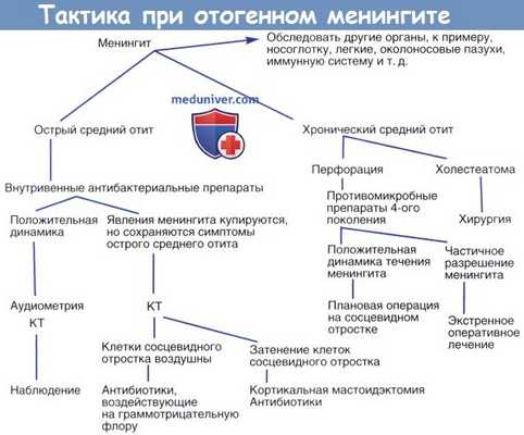 Тактика при отогенном менингите