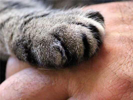 Энтеробиоз - симптомы