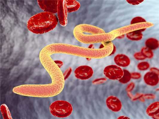 Классификация глистогонных препаратов