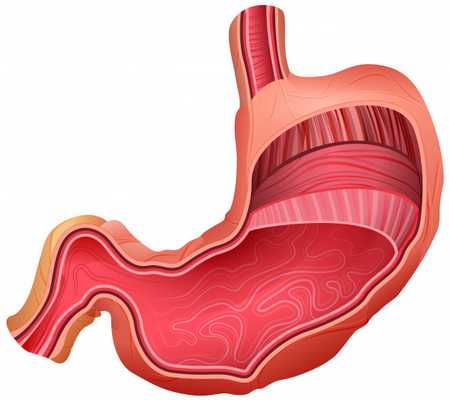 ТОП препаратов от гастрита