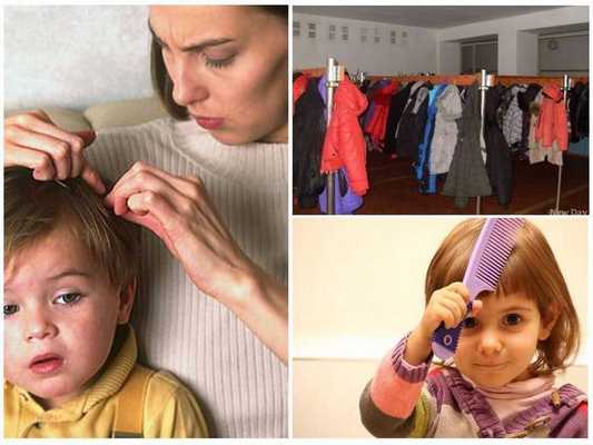 Откуда беруться вши у детей