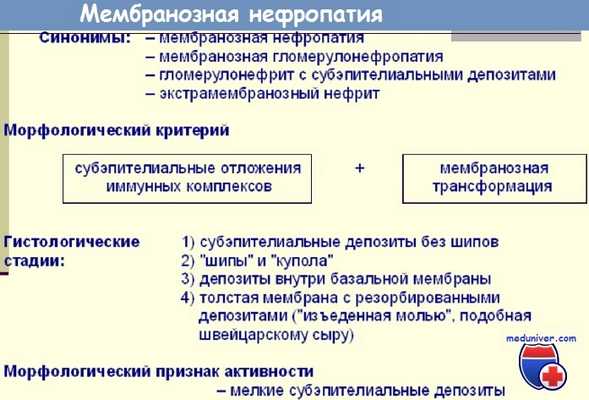 Мембранозная нефропатия