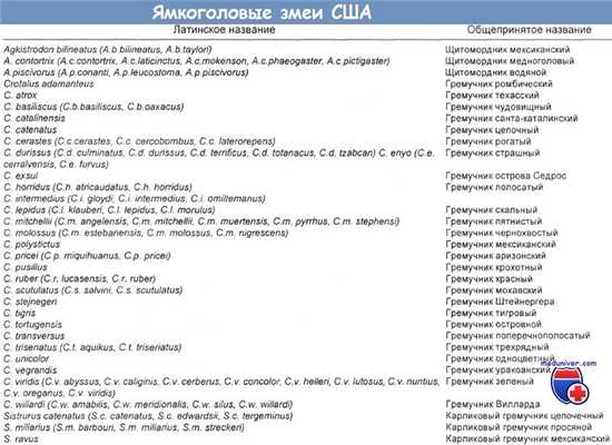Ямкоголовые змеи США