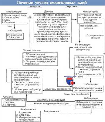 Лечение укусов ямкоголовых змей