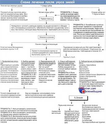 Схема лечения после укуса змеей