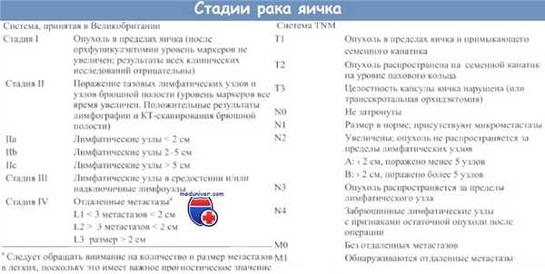 Стадии рака яичка по TNM