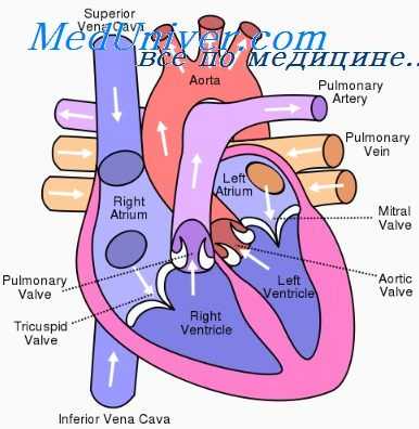 сердечная астма