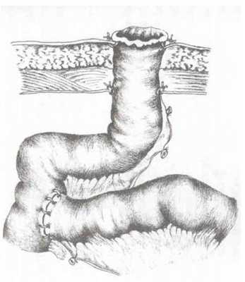 snimok-ekrana-2016-12-10-v-23-49-09