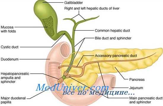 лечение травм двенадцатиперстной кишки