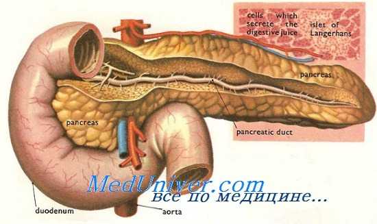 травма поджелудочной железы
