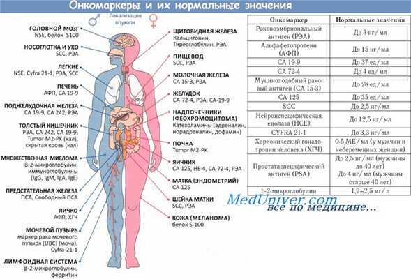 Онкомаркеры и их нормальные значения