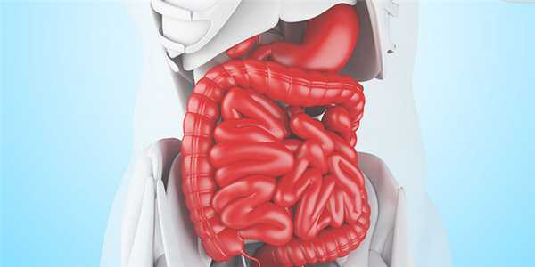 Кишечные бактерии регулируют противоопухолевый иммунитет в печени