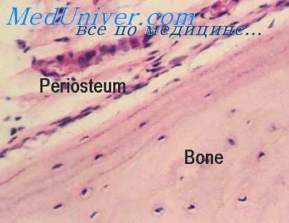 острая лучевая болезнь