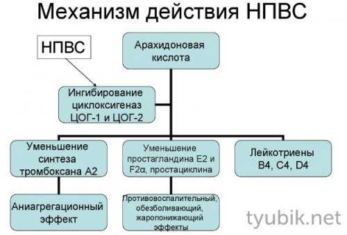 Механизм действия НПВС