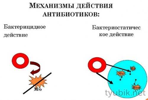 Механизм действия антибиотиков