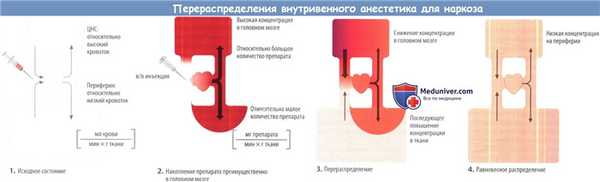 Перераспределение внутривенного анестетика и прекращение его действия