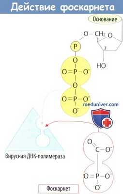 Механизм действия фоскарнета