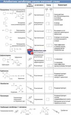 Антибиотики ингибиторы синтеза клеточной стенки