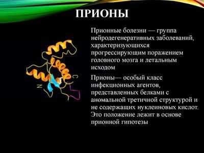 Что такое прионы