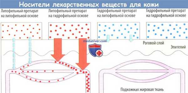 Носители лекарственных веществ для кожи