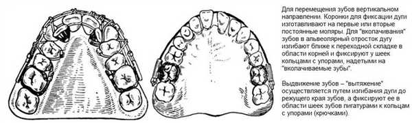 Стационарная дуга Энгля