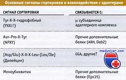 Сигналы взаимодействия с адаптерами