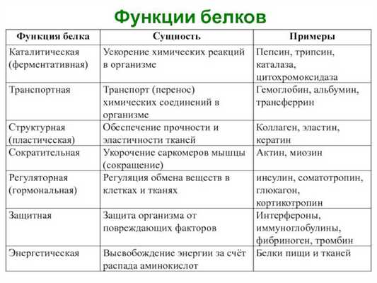 Строение и функции белков