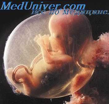 плод паразит