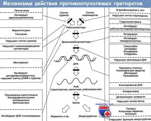 Мишени противоопухолевых препаратов для химиотерапии