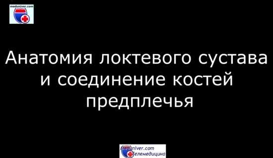 Видео анатомии локтевого сустава и соединения костей предплечья