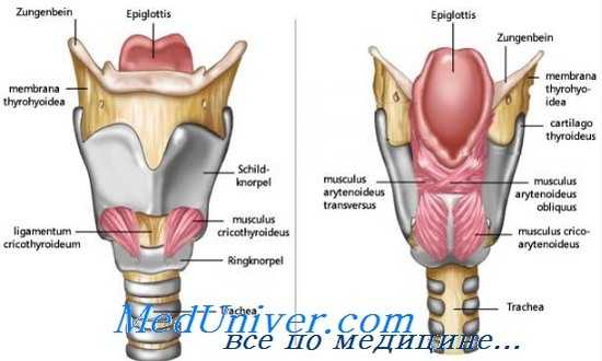голосовая астения