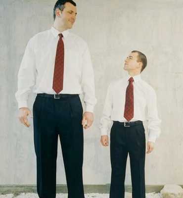 Размер и объем предстательной железы в норме