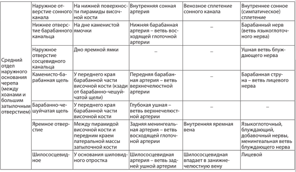 Отверстия в наружном основании черепа и их назначение