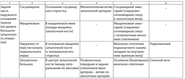 Отверстия в наружном основании черепа и их назначение