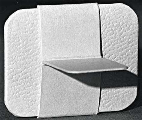 Рис. 3. Пленка в специальном чехле для проведения съемки в технике bitewing (репродукция из S. C. White, M. J. Pharoah, Oral Radiology Principles and Interpretation, 2012).