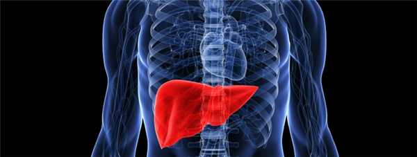 Трансплантация печени у пациентов с гепатоцеллюлярной карциномой