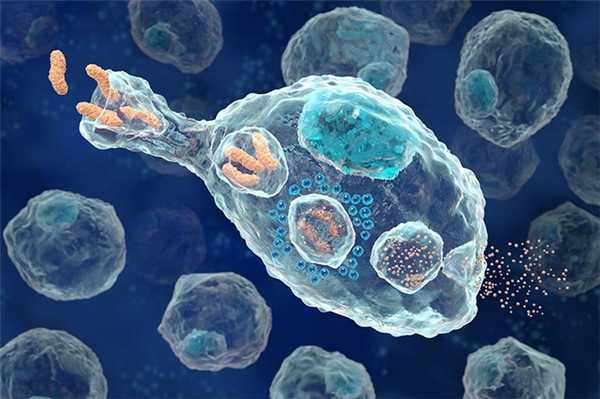 Сфера применения