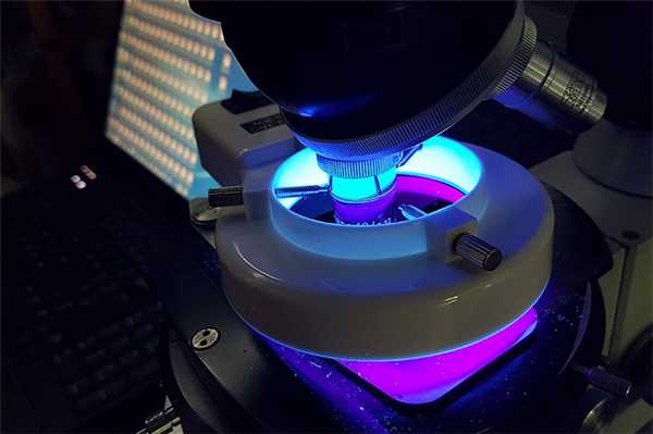 Флюорохромирование